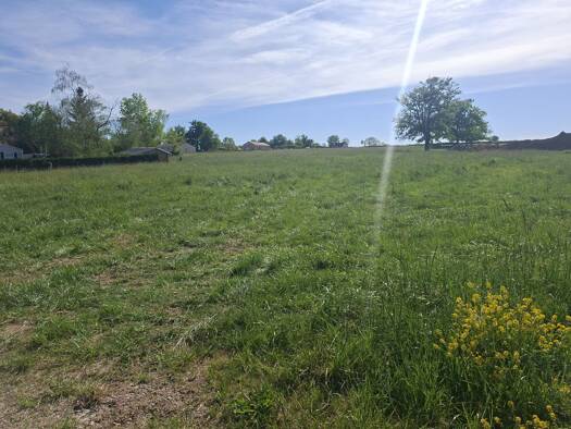 Terrain à vendre 33 500 € 2 561 m² de terrain Meillard 03500