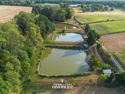 Propriété de loisirs à vendre 227 700 € 14 590 m² de terrain Ueberstrass 68580