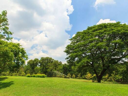 Terrain constructible viabilisé à vendre 65 120 € 407 m² de terrain Sud Surgères 17700