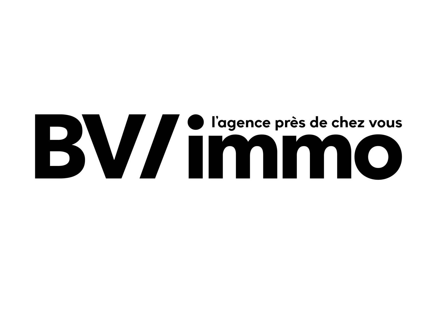 BV INVEST