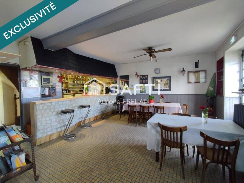 Maison à vendre, 270m², NOYANT DE TOURAINE