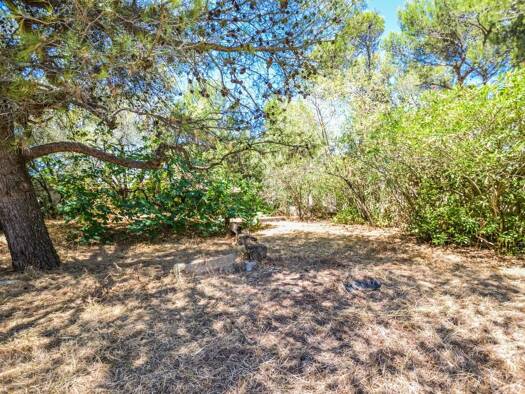 Terrain constructible à vendre 249 000 € 683 m² de terrain Montagne des Chèvres Villeneuve-lès-Avignon 30400