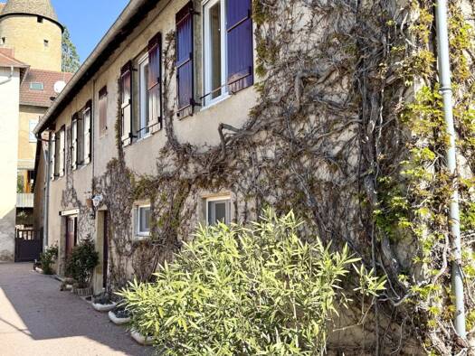 Villa à vendre 270 000 € 8 pièces 4 chambres 245 m² 100 m² de terrain Charolles 71120