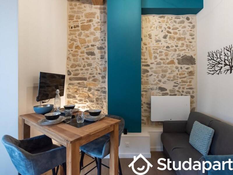 Maison à louer, 24m², LYON 1ER