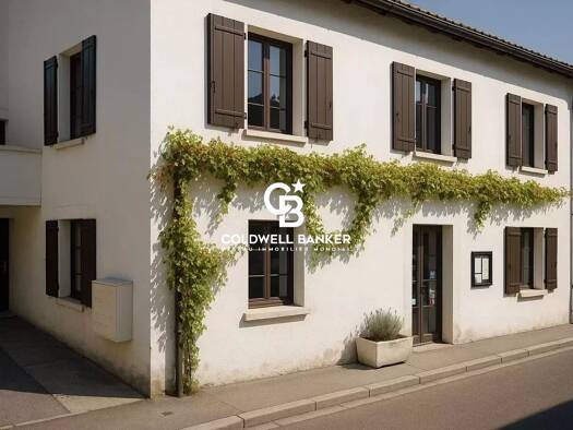 Immeuble mixte à vendre 1 780 000 € 475 m² Centre Gaillard 74240