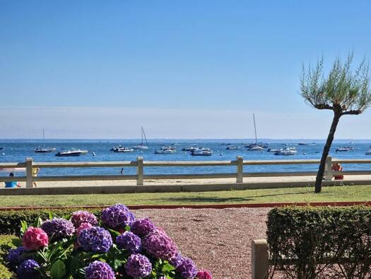 Appartement à vendre 470 000 € 2 pièces 1 chambre 32,3 m² RDC/6 Saint Ferdinand Arcachon 33120