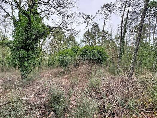 Terrain à vendre 87 000 € 4 055 m² de terrain Callian 83440