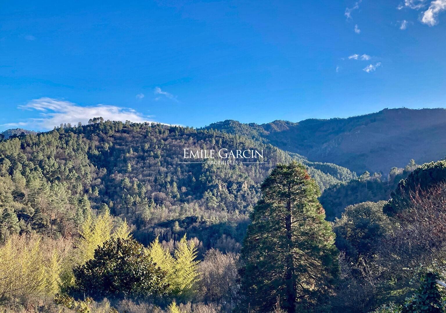 Maison à vendre, 600m², LE COLLET DE DEZE