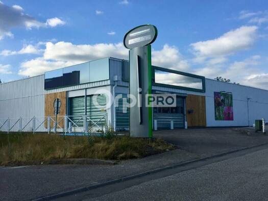 Local commercial à louer 8 075 € 900 m² de surface de vente divisible Feytiat 87220