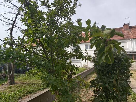Maison de ville à vendre 129 000 € 6 pièces 4 chambres 130 m² 284 m² de terrain Maillebois-Peintres Longuenesse 62219