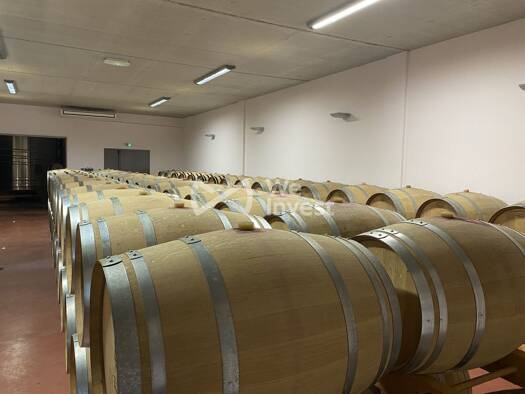 Maison à vendre 3 000 000 € 4 pièces 3 chambres 1 000 m² 30 000 m² de terrain Laurens 34480