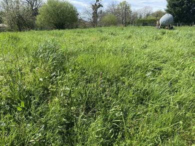 Terrain constructible à vendre 75 000 € 1 400 m² de terrain Belmont Tramonet 73330