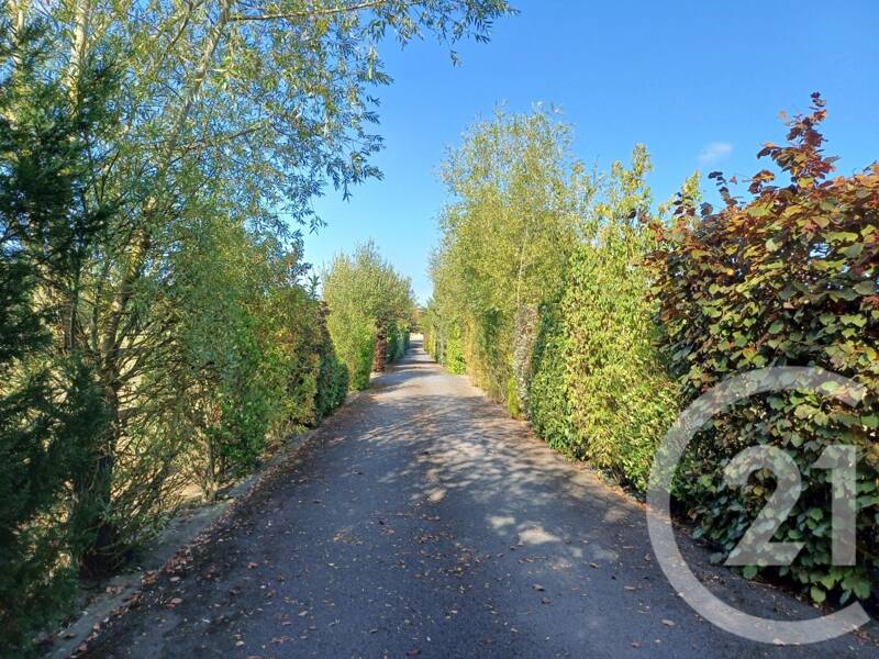 Maison à vendre, 206m², BELLENGREVILLE