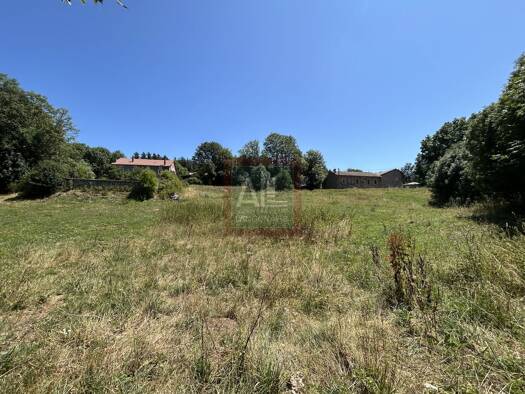 Terrain à vendre 49 000 € 4 165 m² de terrain Vielprat 43490