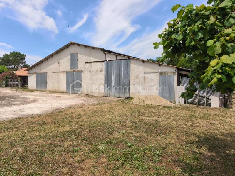 Maison à vendre, 315m², SAINT MEDARD DE GUIZIERES