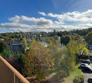Appartement en viager occupé Bouquet 137 500 € 4 pièces 2 chambres 68 m² Dernier étage, Étage 4/4 L'Ile d'Amour Le Perreux-sur-Marne 94170