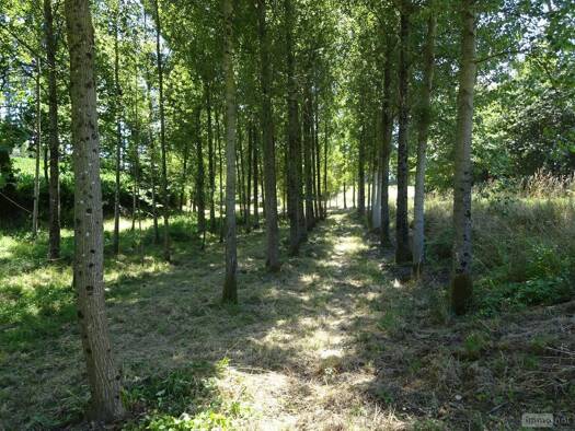 Terrain à vendre 14 840 € 4 096 m² de terrain Poilley 35420