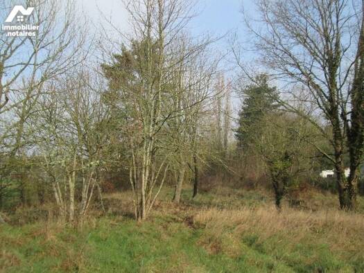 Terrain à vendre 43 300 € 6 218 m² de terrain Chabris 36210