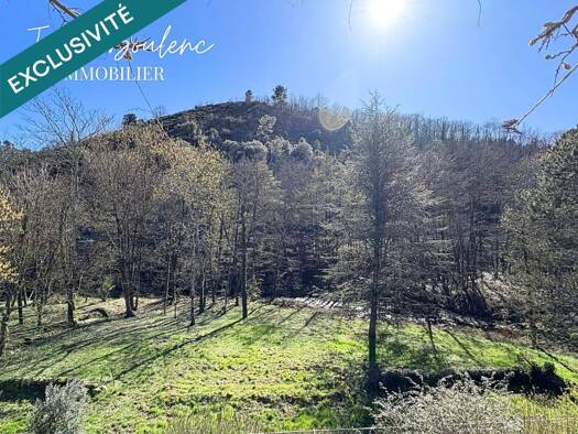 Maison à vendre 265 000 € 12 pièces 8 chambres 341 m² 5 257 m² de terrain Prades 07380