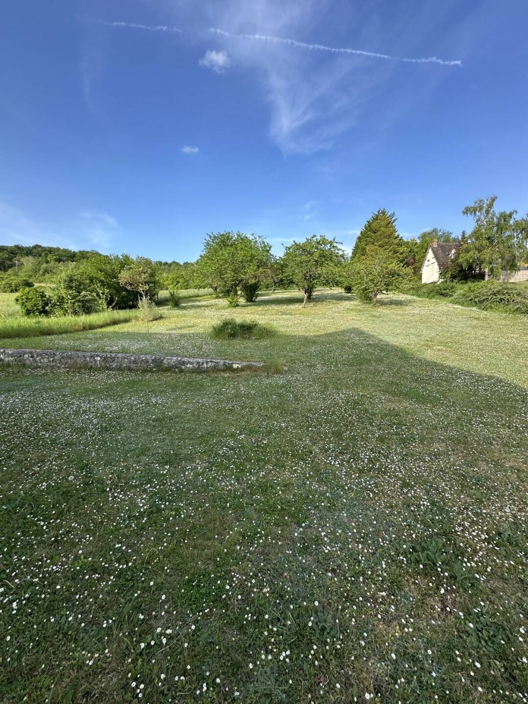 Maison à vendre, 320m², SAINT MARTIN DE BOSCHERVILLE