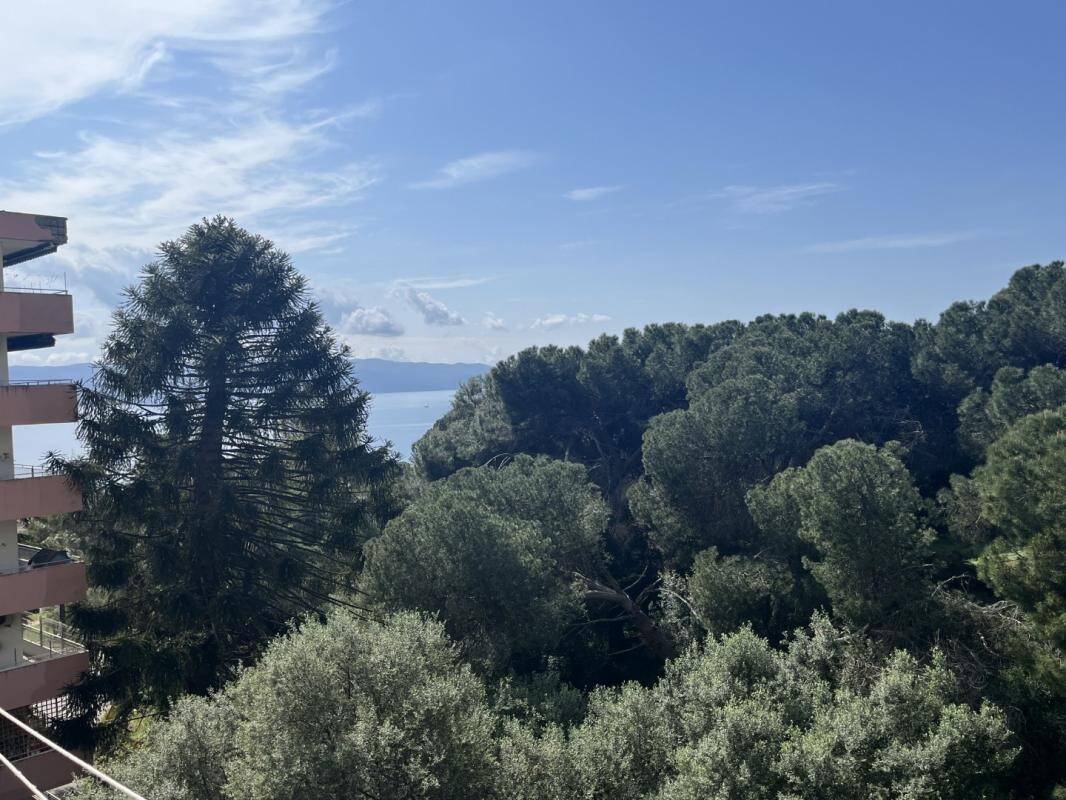 Maison à louer, 33m², AJACCIO