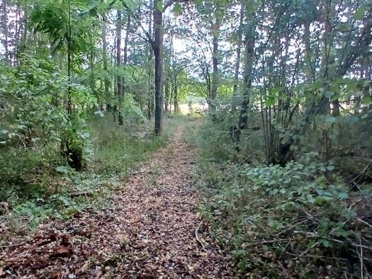 Terrain à vendre 23 000 € 3 306 m² de terrain Villemoutiers 45270