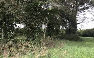 Terrain constructible à vendre 66 900 € 1 010 m² de terrain St Maixant 33490