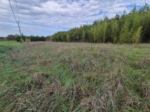 Terrain constructible à vendre 164 500 € 1 607 m² de terrain Garidech 31380