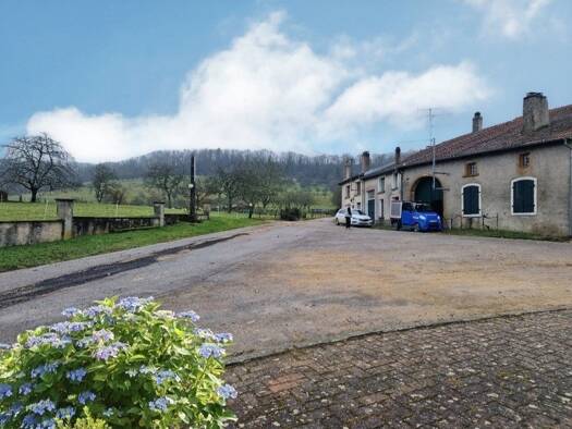 Ferme à vendre 73 000 € 10 pièces 6 chambres 250 m² 1 000 m² de terrain Grimonviller 54115
