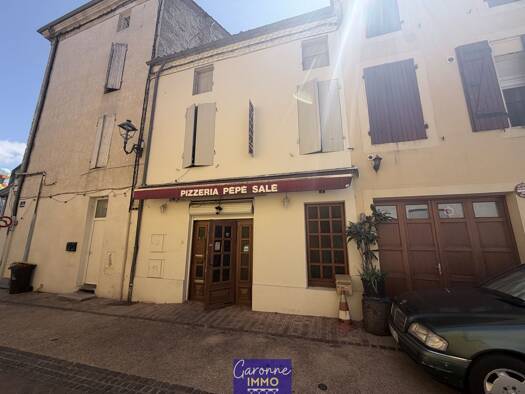 Immeuble à vendre 55 000 € 237 m² Tonneins 47400