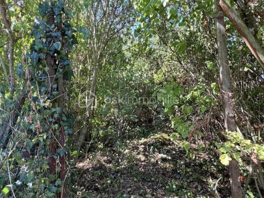 Propriété de loisirs à vendre 14 900 € 721 m² de terrain Val-de-Mercy 89580