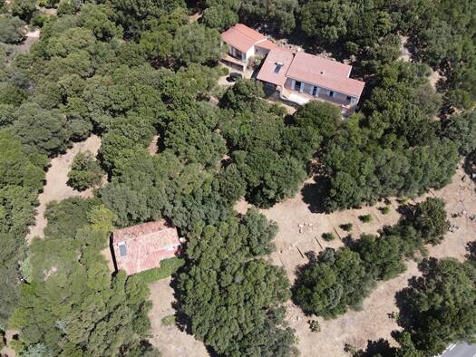 Villa à vendre 1 790 000 € 8 pièces 5 chambres 211 m² 8 350 m² de terrain Olmeto 20113