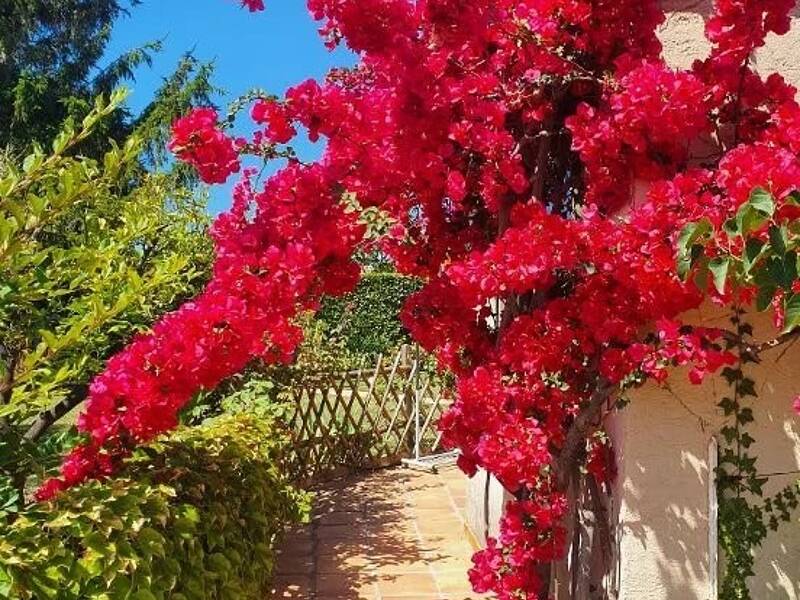 Maison à louer, 165m², NICE