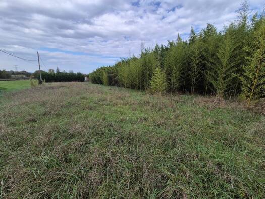 Terrain constructible à vendre 164 500 € 1 248 m² de terrain Garidech 31380