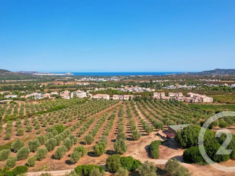 Maison à vendre, 210m², CALENZANA