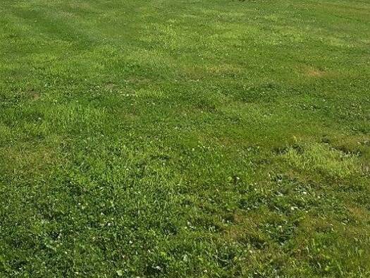 Terrain constructible à vendre 12 000 € 1 000 m² de terrain Sainte-Opportune 61100