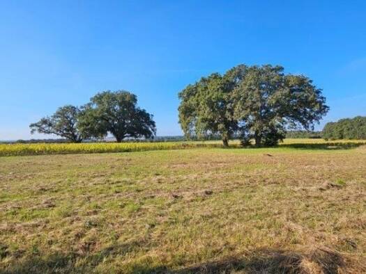 Terrain à vendre 87 200 € Ingrandes 36300