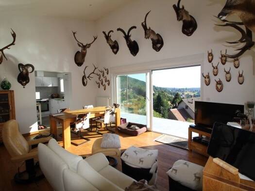 Maison à vendre 399 000 € 7 pièces 3 chambres 125,05 m² 880 m² de terrain Wangenbourg-Engenthal 67710