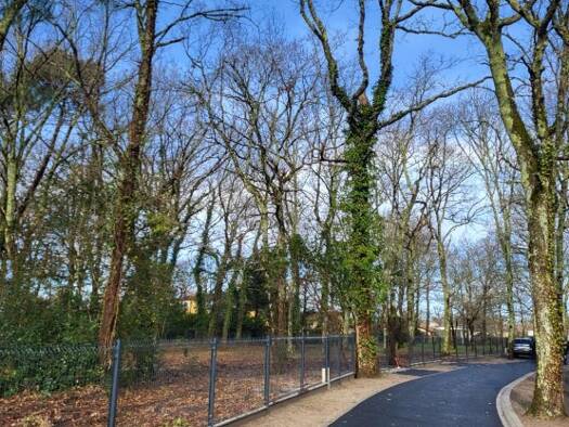 Terrain constructible viabilisé à vendre 265 000 € 800 m² de terrain Audenge 33980
