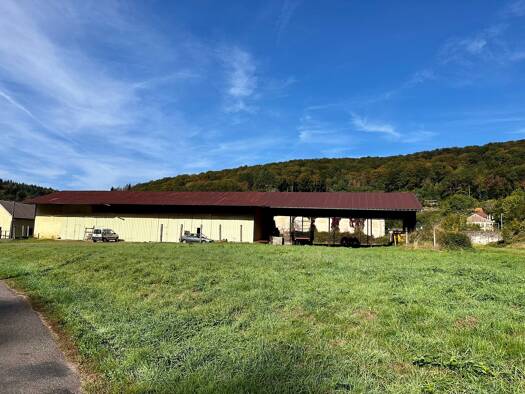 Entrepôt à vendre 220 000 € 3 700 m² d'espace de stockage Saint-Bresson 70280