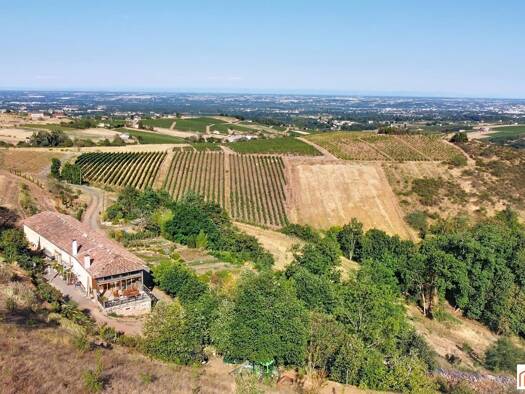 Demeure à vendre 590 000 € 4 pièces 3 chambres 161 m² 137 560 m² de terrain Blacé 69460
