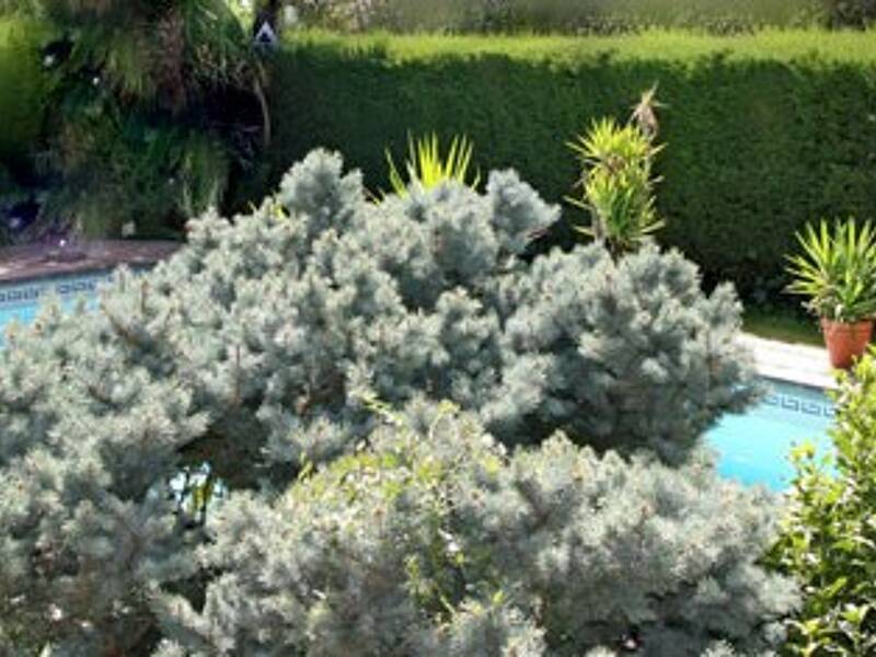 Maison à vendre, 176m², TOULOUSE