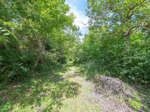 Terrain constructible à vendre 426 000 € 2 972 m² de terrain Plaine Haute-Coteaux Castanet-Tolosan 31320