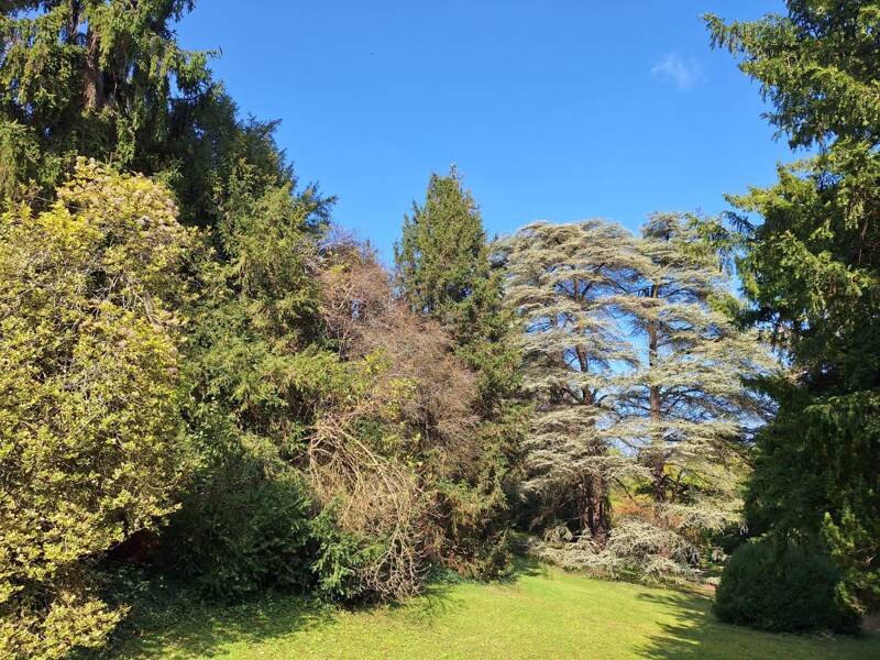 Maison à louer, 210m², VILLENNES SUR SEINE