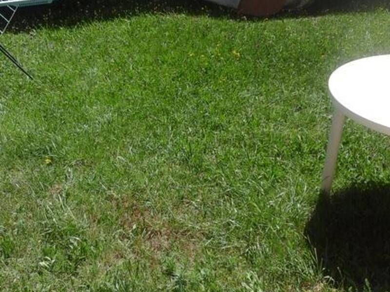 Maison à louer, 27m², DIGNE LES BAINS