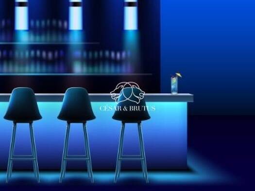 Restaurant à vendre Fonds de commerce 442 800 € 240 m² d'espace de restauration Lyon 2ème arrondissement 69002