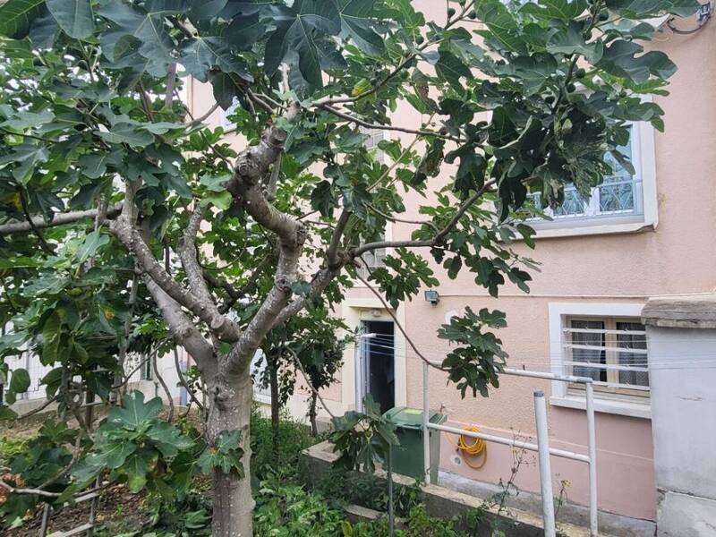 Maison à vendre, 160m², LE KREMLIN BICETRE