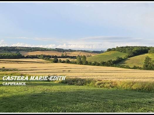 Maison à vendre 1 371 500 € 1 pièce 1 chambre 860 m² 1 350 000 m² de terrain Ordan-Larroque 32350