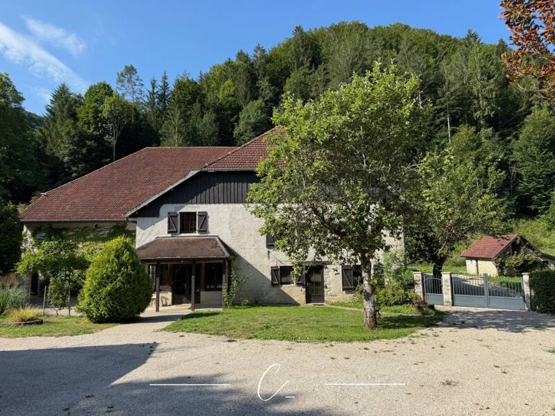 Maison à vendre, 650m², BESANCON
