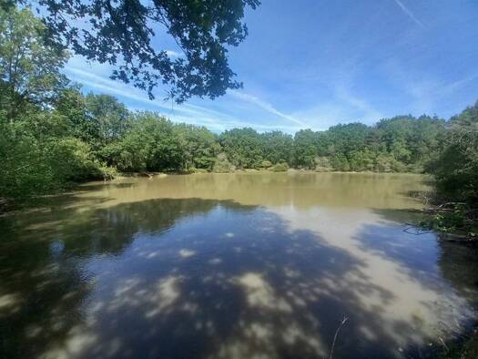 Terrain constructible à vendre 91 800 € 20 333 m² de terrain Langon-sur-Cher 41320